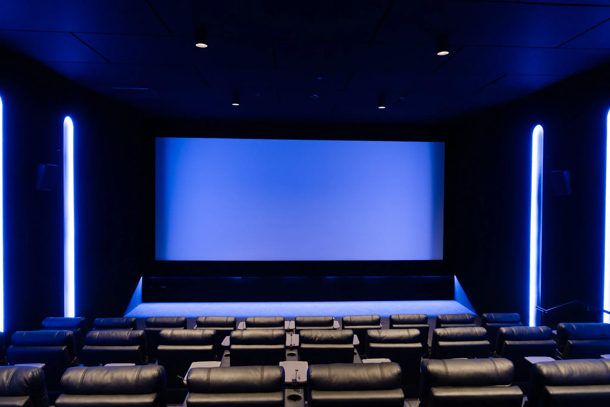 Silky Otter cinema screen and blue LED lighting